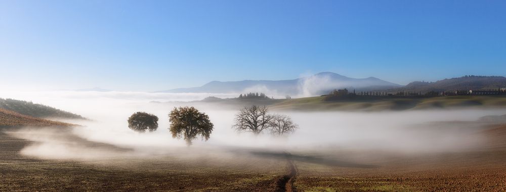 Туманные реки Тосканы