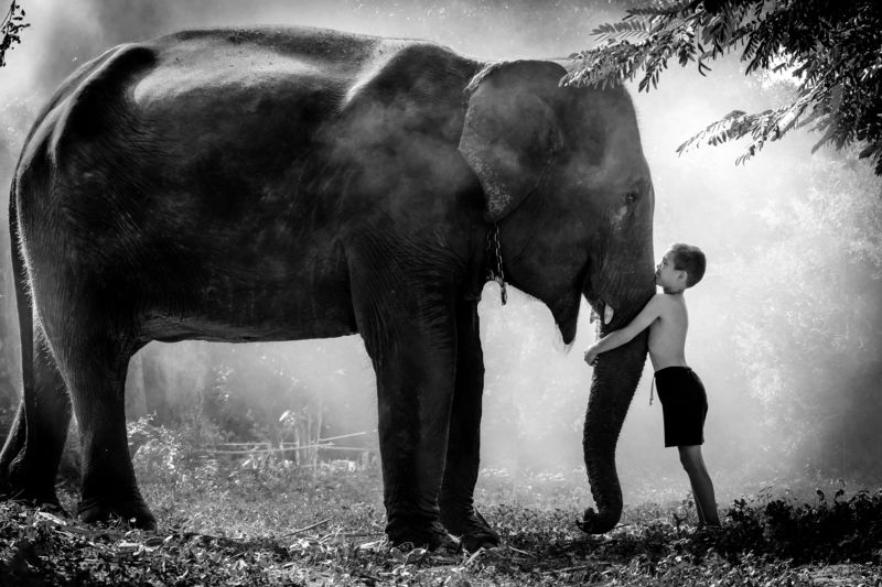 Preeda Prakotmak, Thailand