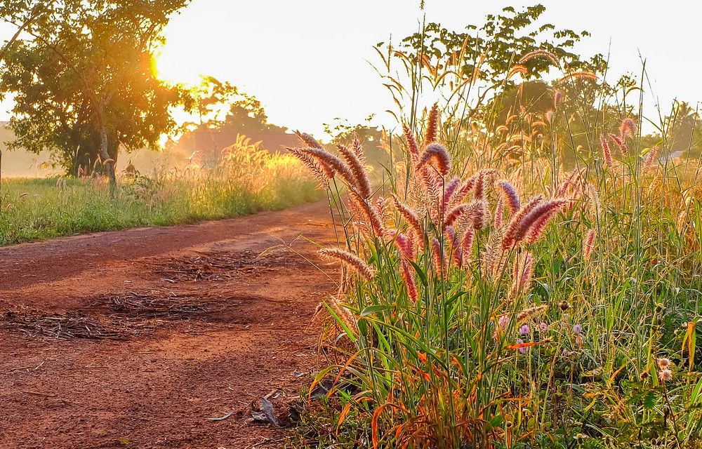 sunset time at on the countryside road at Sakon Nakhon,Thailand