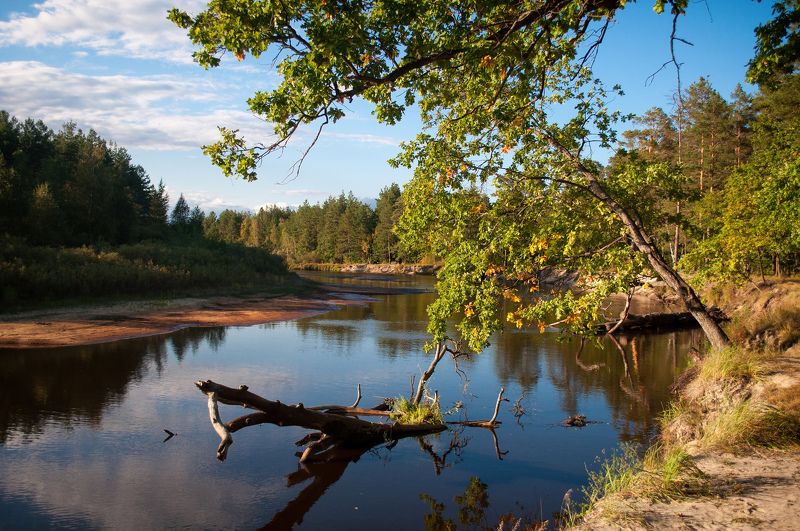 Andrey Filatov, Russia