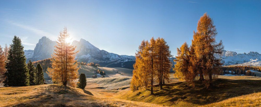 Ясное утро в Альпах