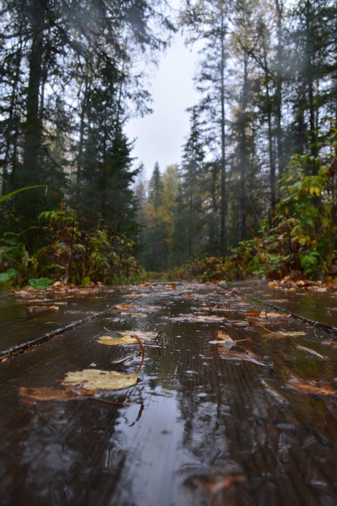 Photograph by Анастасия Коваль