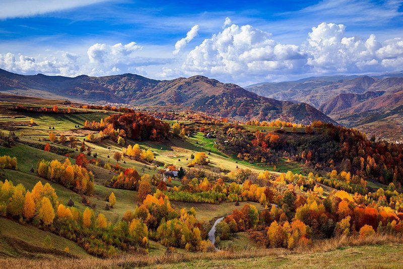 Andrei Alexa, Romania