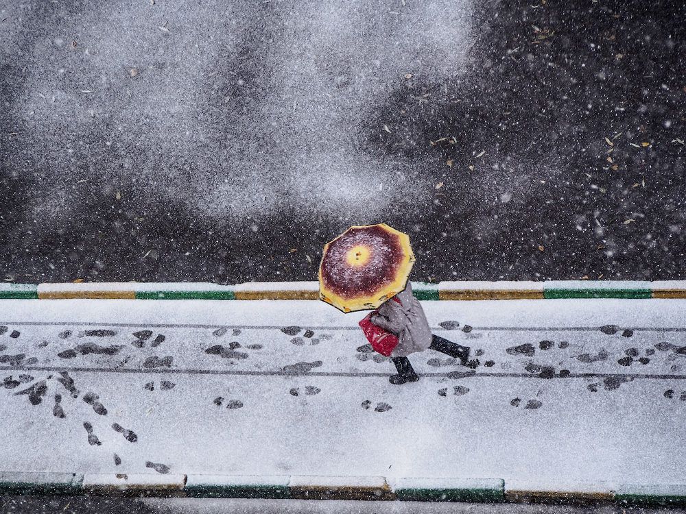 И каждый пошел своею дорогой...