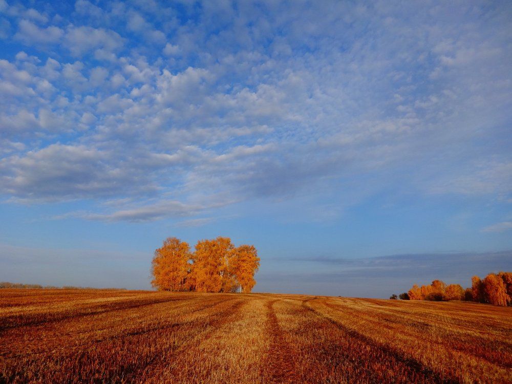 Photograph by Роман