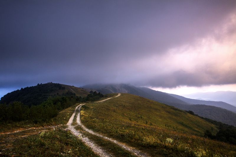 Лисьих Диана, Russia