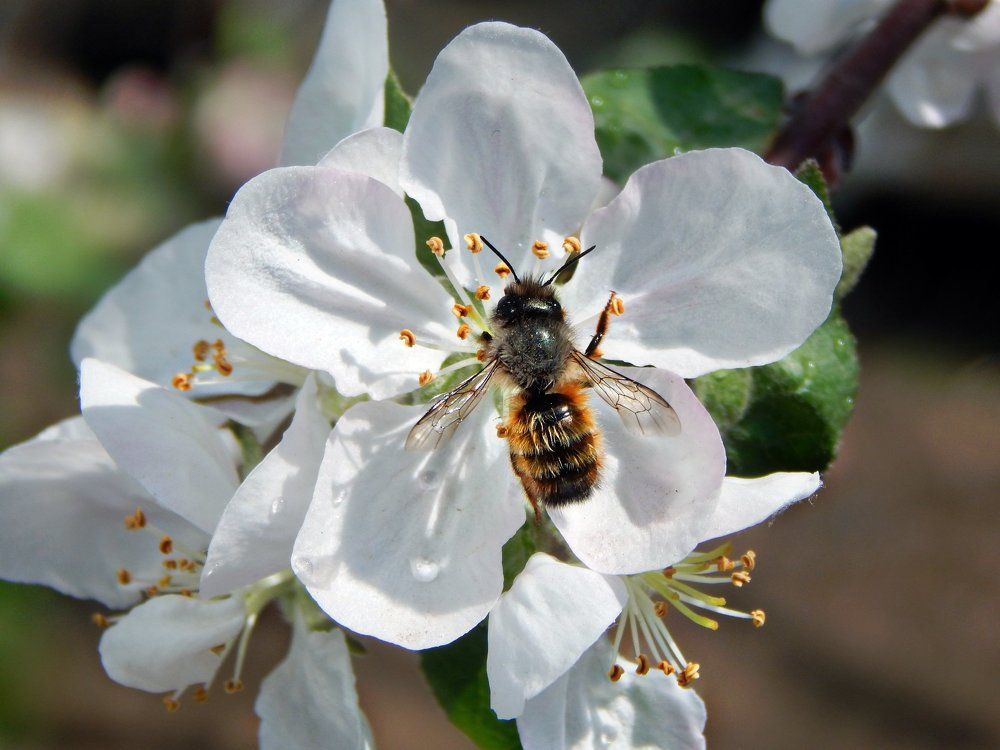 Photograph by Юлия