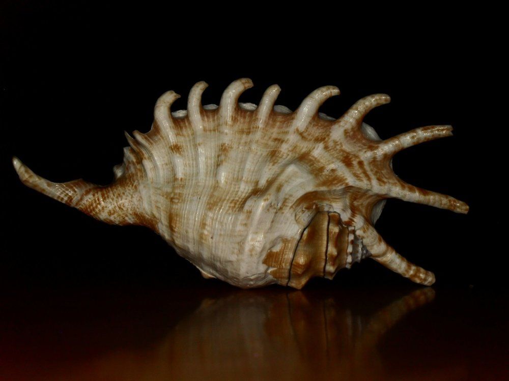 Photograph by Сергей