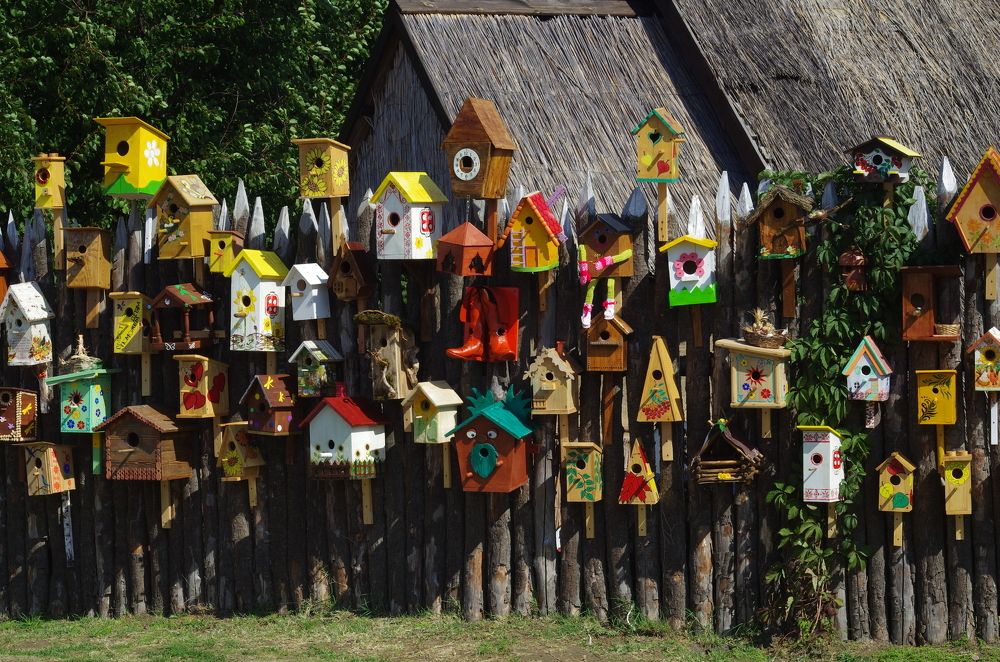 Скворцы прилетели