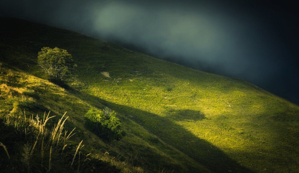 Перед грозой