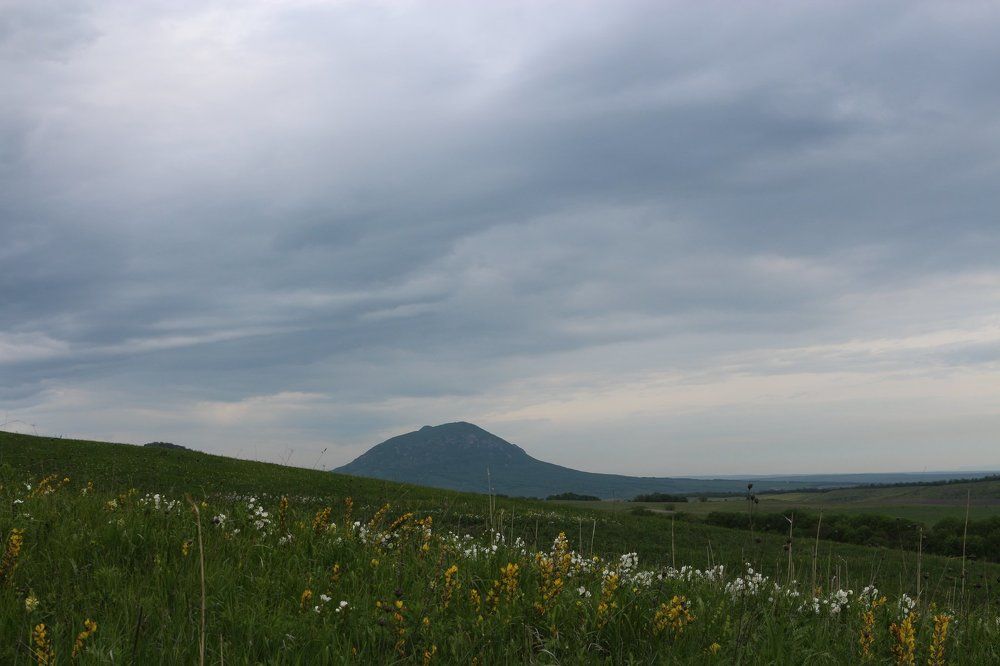 Серое утро
