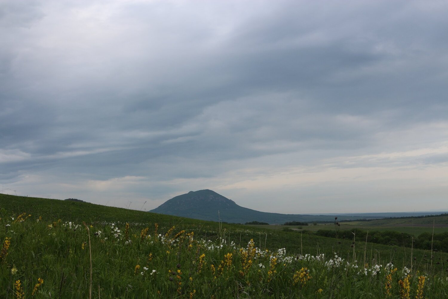 Серое утро