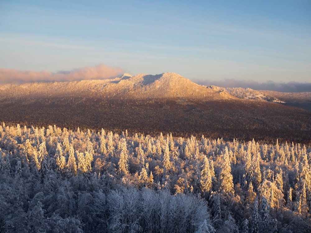 "Магия Света"