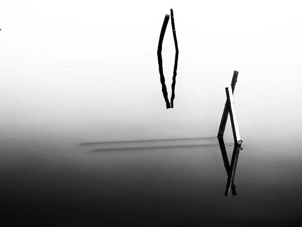 Photograph by venera