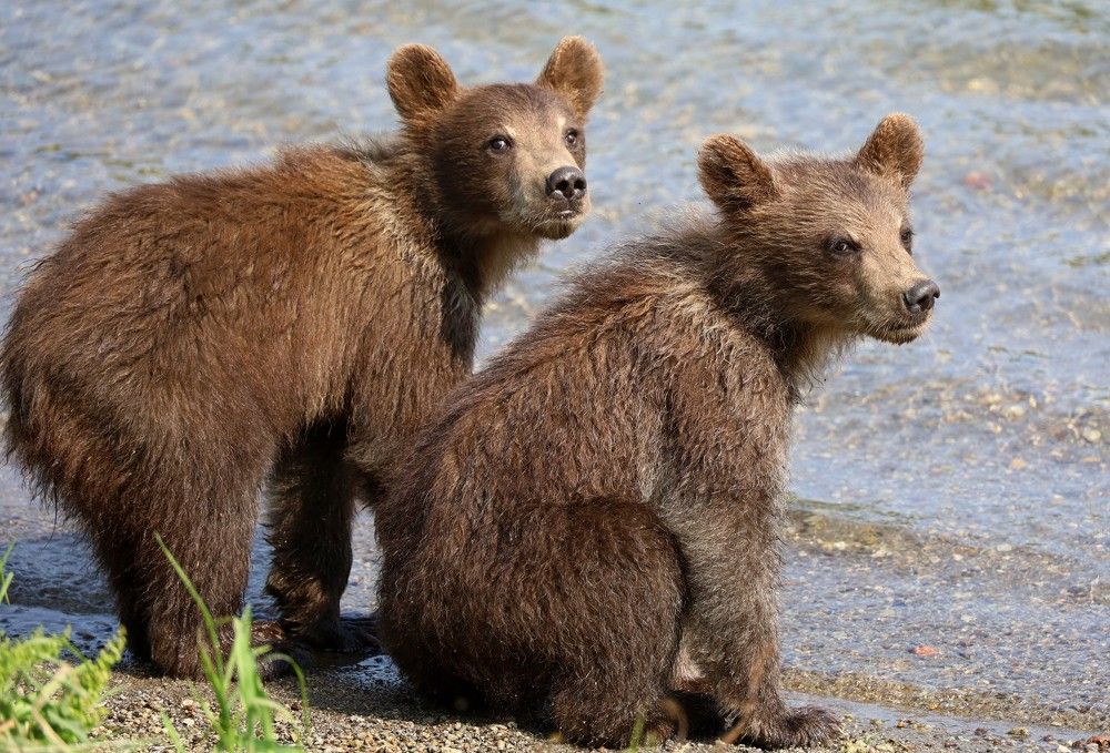 Photograph by Диана Жагрина