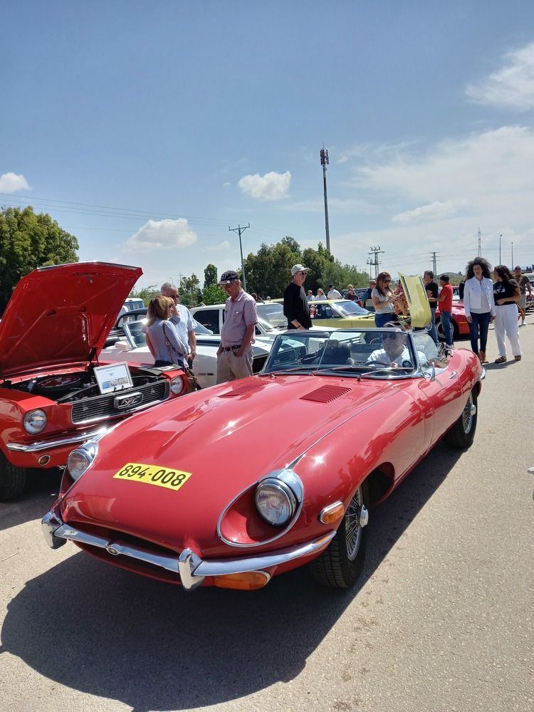 Фотография автора Oksana Podgorodetska