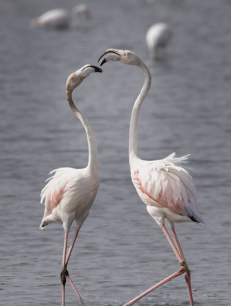 Photograph by Neza Cankar