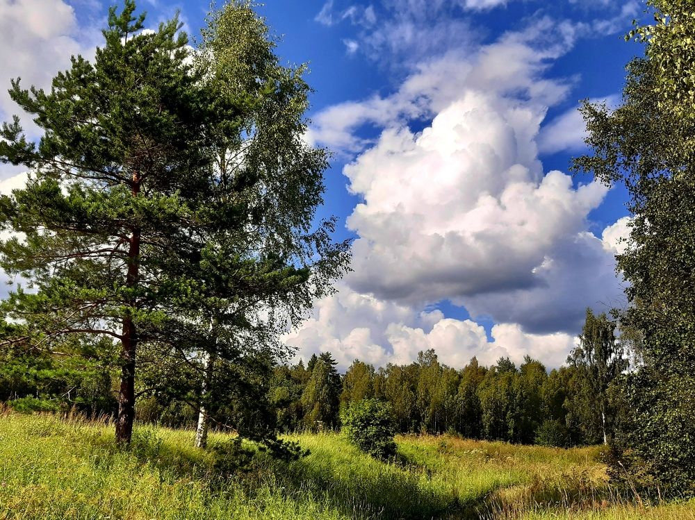 Photograph by Екатерина