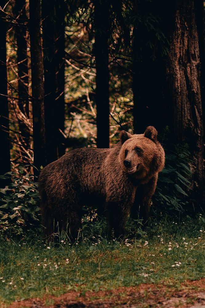 Photograph by Olasz Laszlo