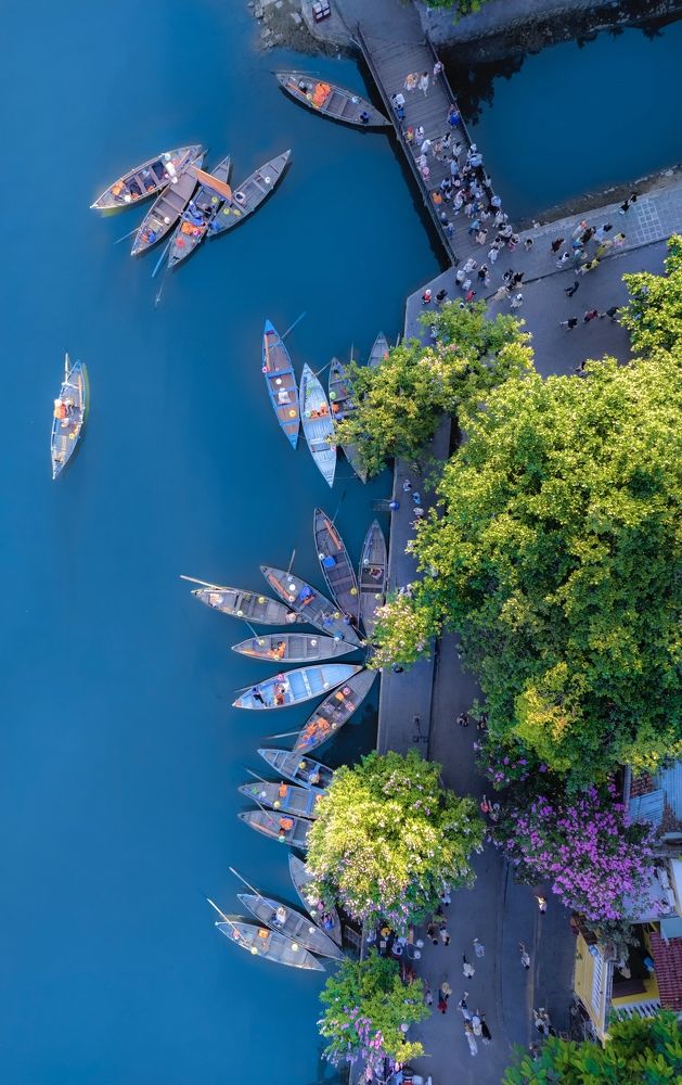 Фотография автора Tôi Là Núi