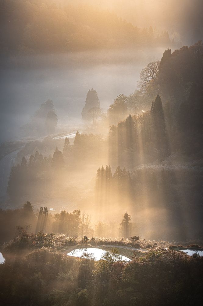 Photograph by NAGUMO SHUTO