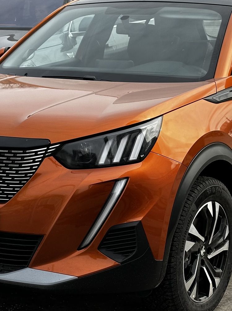 Photograph by Рина Серёгина