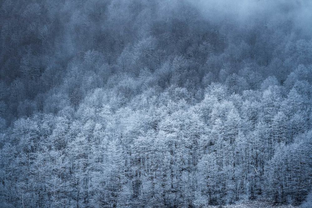 Photograph by dario camasso