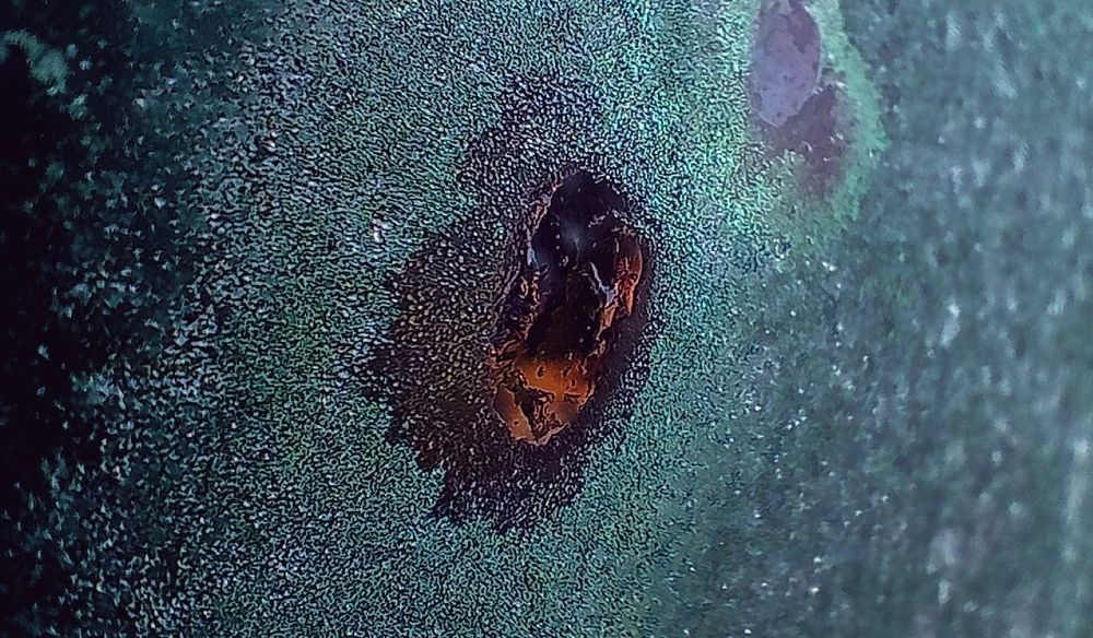 Photograph by Виктория Спицына