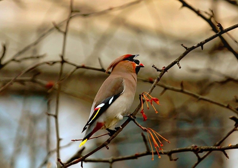 Photograph by Татьяна Слесарева
