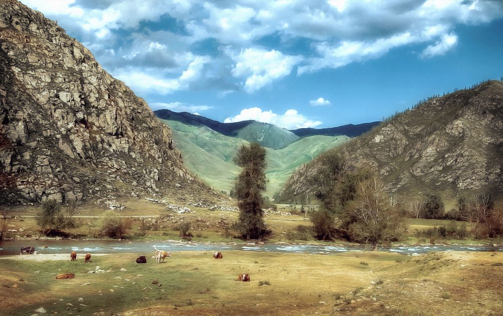 Photograph by Юлия Лушникова