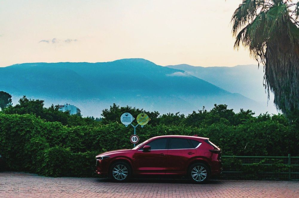 Photograph by Сауия Назмутдинова