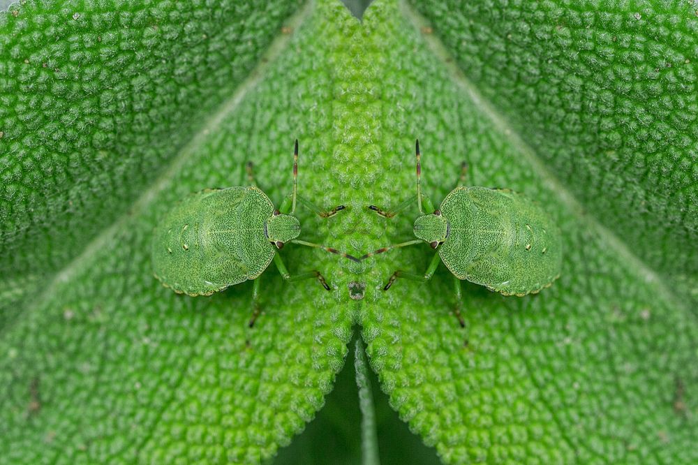 Фотография автора Игорь Ефремычев