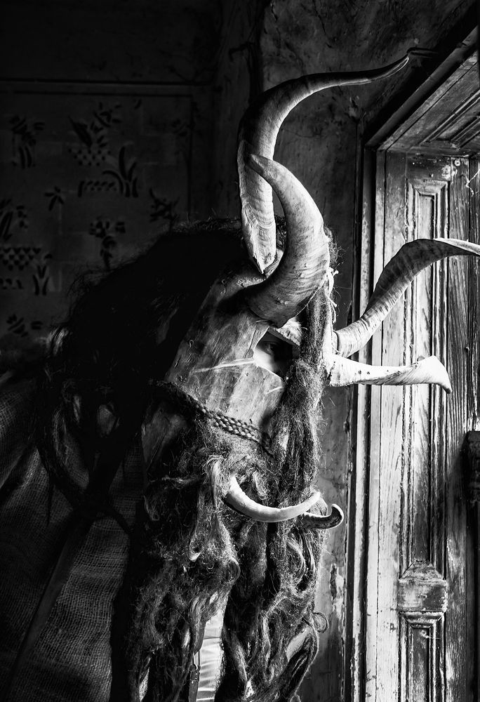 Беле Покладе Лозовик 1