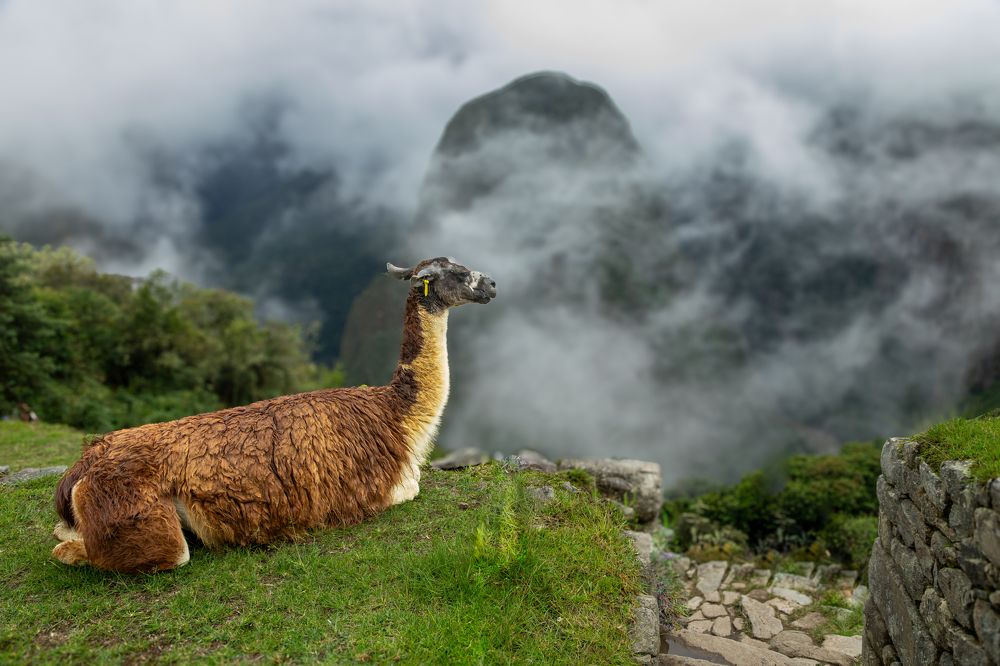 Photograph by Fadi Haroun