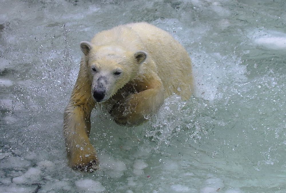 Photograph by Михаил Измайлов