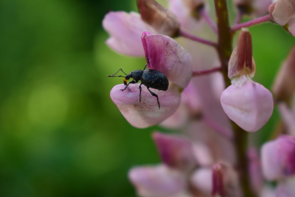 Photograph by Наталья Еременко