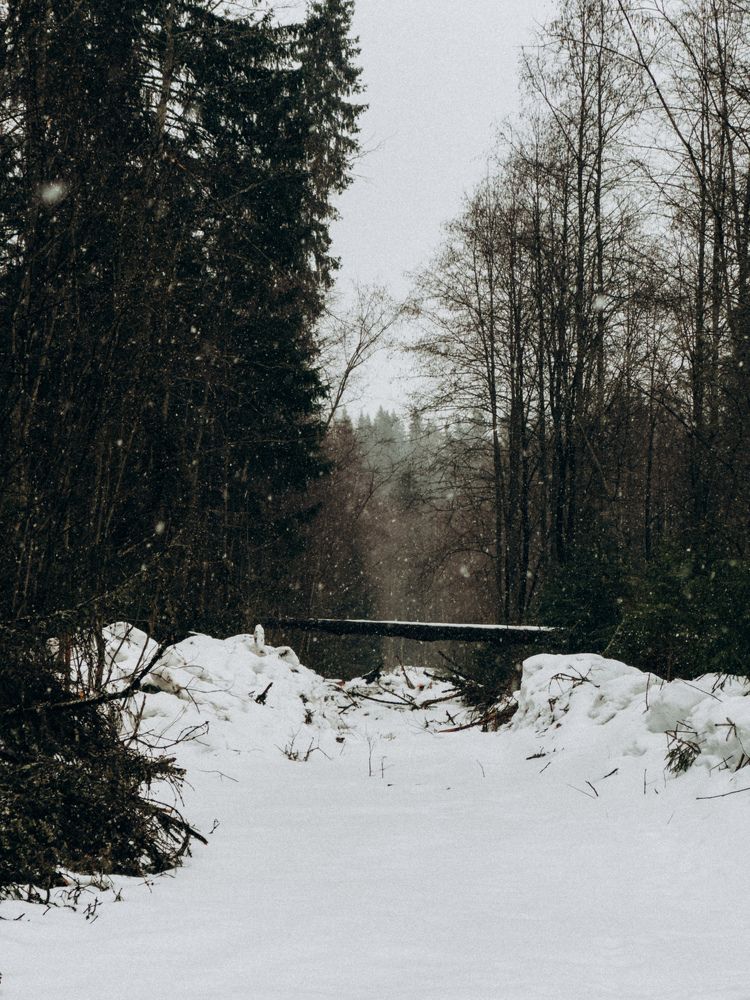 Photograph by Алиса Нежинская