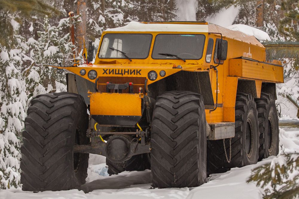 Photograph by Ольга Чибисова