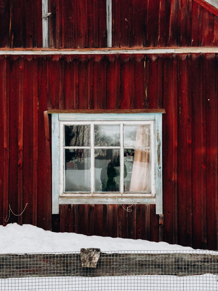 Photograph by Алиса Нежинская