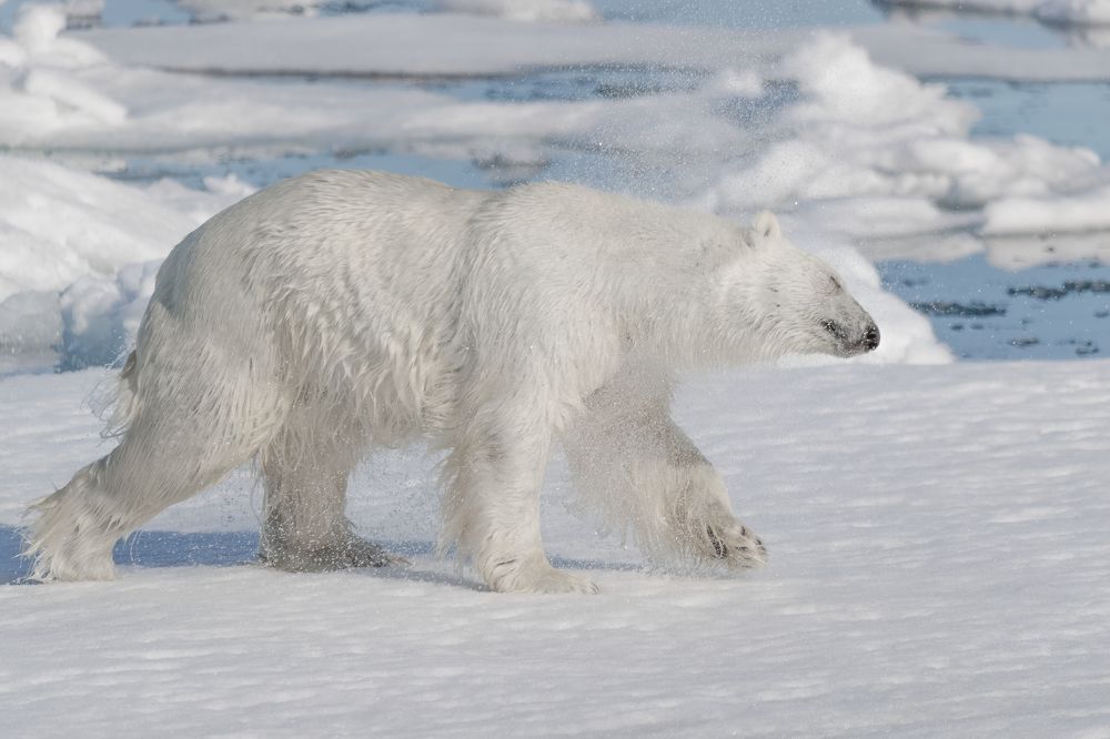 Photograph by 喻 子俊