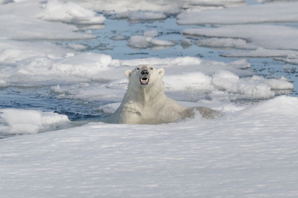 Photograph by 喻 子俊