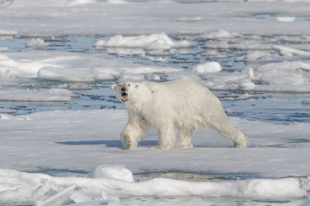 Photograph by 喻 子俊