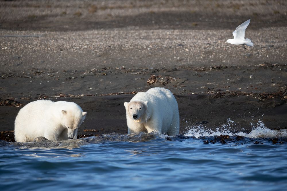 Photograph by 喻 子俊