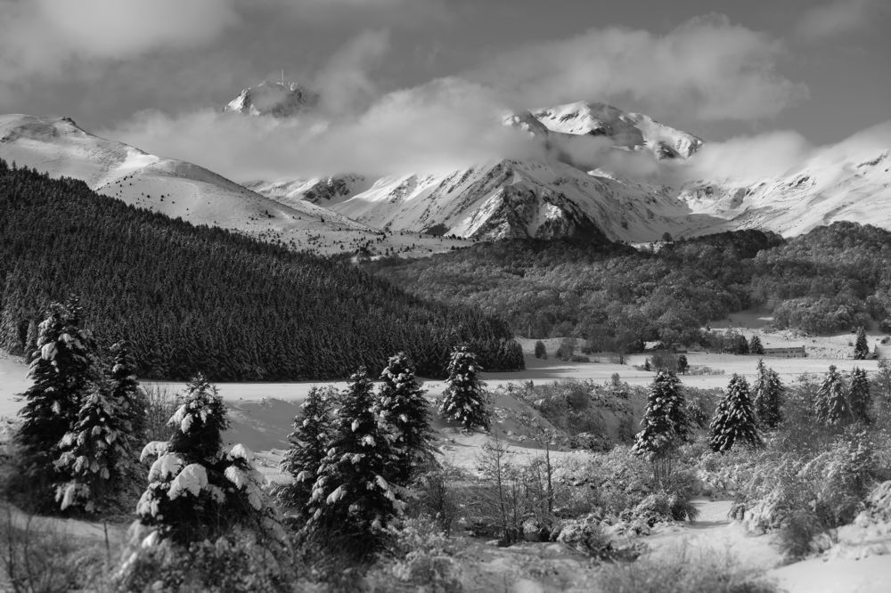 Photograph by Thaïs De Benoist