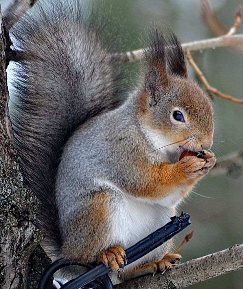 Photograph by Николай Леухин