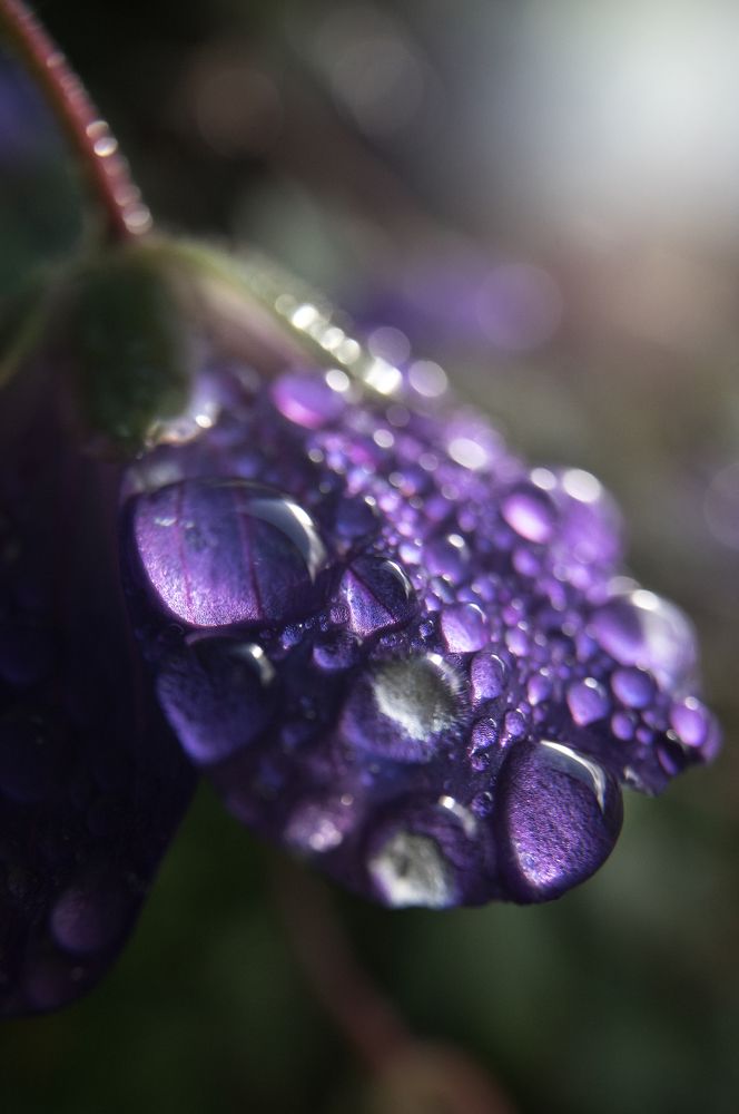 Photograph by Thaïs De Benoist