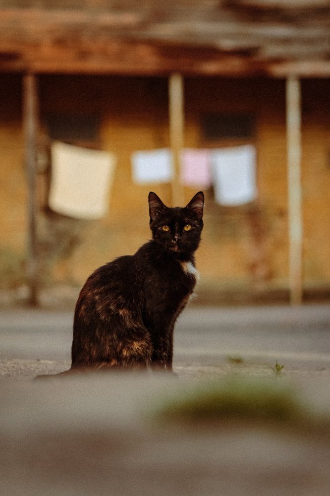 Photograph by Alexander Nosov