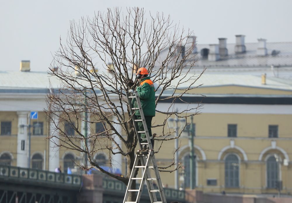 Photograph by Станислав Вершинин