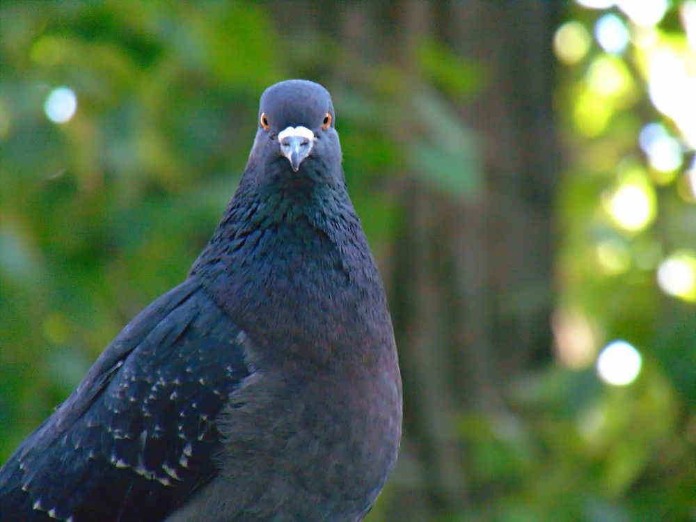 Photograph by Ольга Шевцова