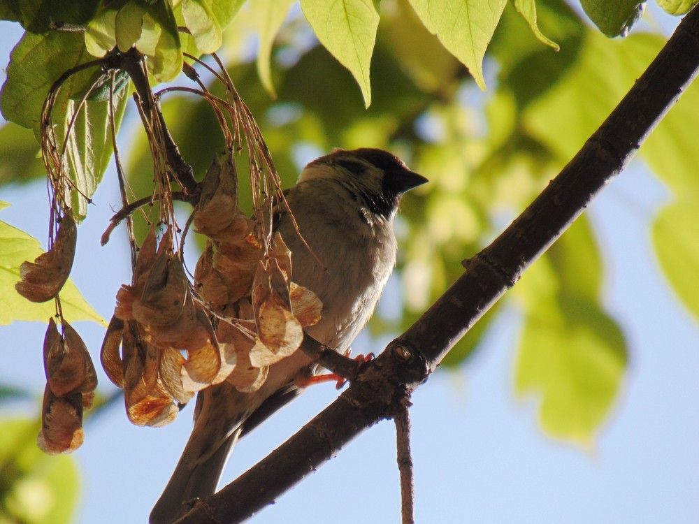 Photograph by Ольга Шевцова